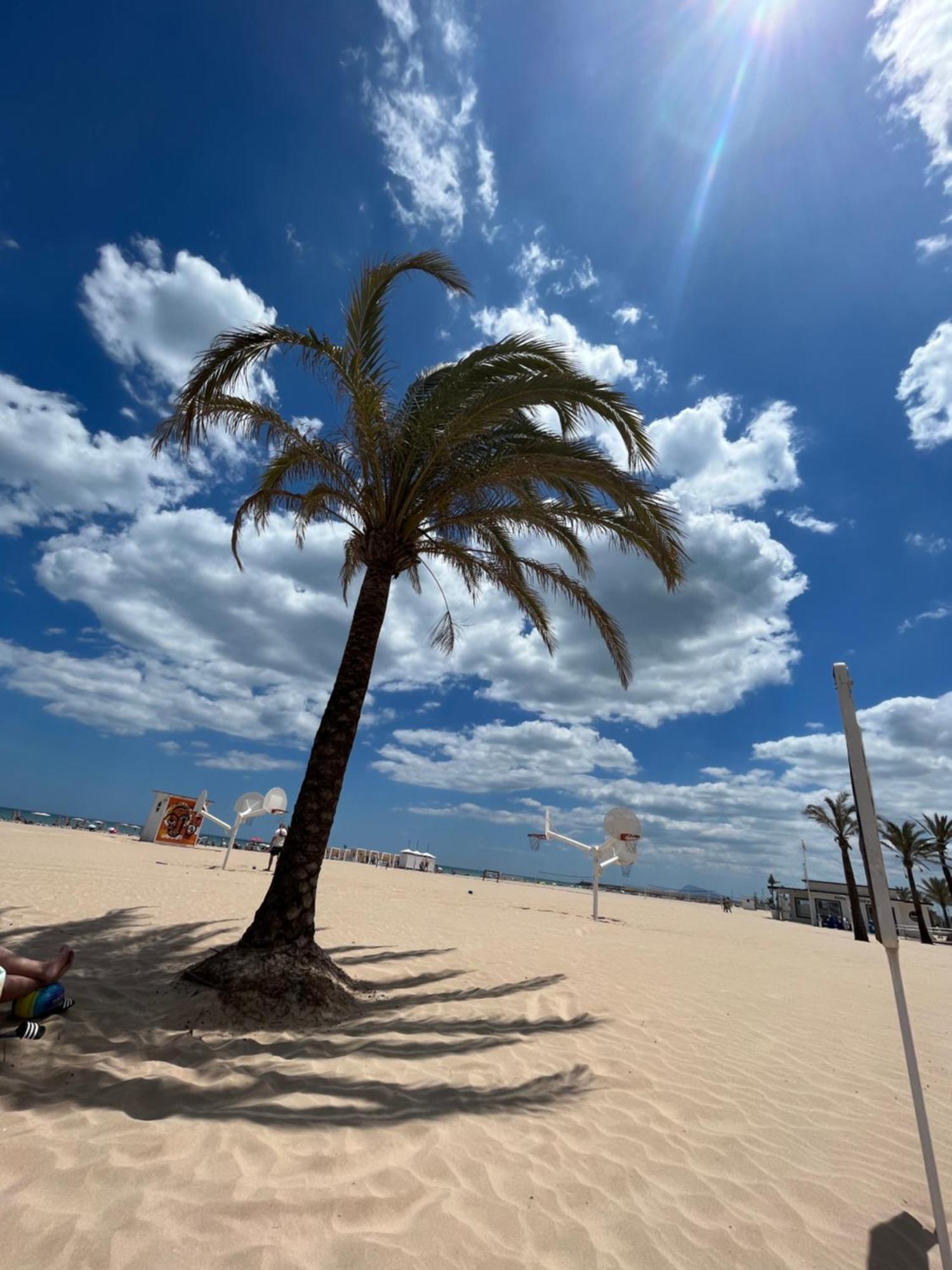 Appartement Rincon De Maria- Segunda Linea De Playa-Ganador Traveller Awards 2025 à Playa de Gandia Extérieur photo